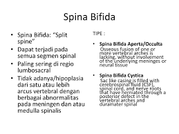 Spina bifida adalah defek pada penutupan kolumna vertebralis dengan atau tanpa tingkatan protusi jaringan melalui celah tulang (donna l. Patofisiologi Sistem Saraf Ppt Download
