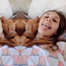 Stream Isabel Mohr music