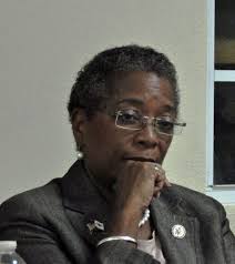 Congressional Delegate Candidates Take Their Case to Frederiksted