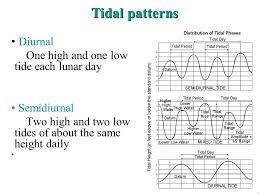 The other answers here seem to have missed the point of your question. Chapter 11 Tides Ppt Video Online Download