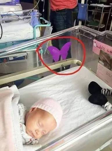 What does a purple butterfly sticker near a newborn mean?
