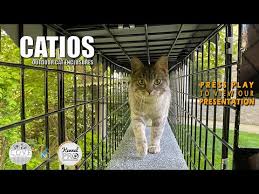 A polycarbonate roof is useful for an to build an outdoor cat enclosure, start by finding an area that contains concrete and grass so your cats. Catio Outdoor Cat Cage Enclosure Systems Youtube