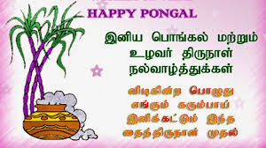 Allow me to send my sincere and best wishes to one and all tamils. Happy Pongal Wishes In Malyalam