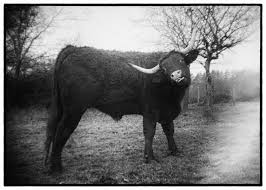 I really appreciate your photos. Thank you