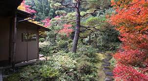 Japanese Gardens Tea Garden Kotoin Temple In Kyoto Japan Garden Japanese Garden Japanese Landscape
