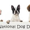 National dog day 2021 is being celebrated on thursday, august 26, 2021. 3