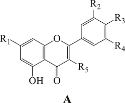 Image result for Bridelia ferruginea