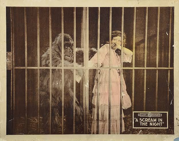 A Scream in the Night (1919) - IMDb