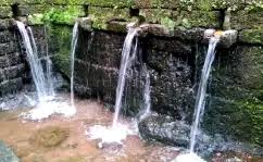 Freshen up your wardrobe with udear's casual staples. Springs In North South Goa Natural Springs Goa Tourism