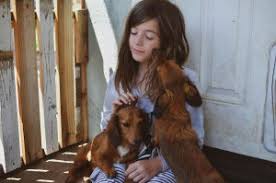 Our little piece of heaven where our little puppy angels are born. About Us Doxie S Treasures Northern California Akc Dachshund Kennel