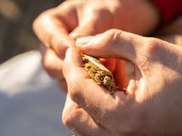 Dr. Daniel Douce, MD