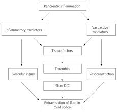 Providing credible health information, supportive community, and educational services by blending award. Fluid Resuscitation In Acute Pancreatitis