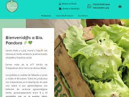 BioPandora • Mercado Agroecológico