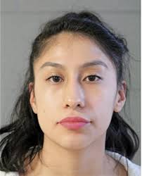 ᐅ Illinois Criminal Records 2009-2025