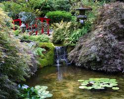 Tranquility Google Search Japanese Garden Butchart Gardens Beautiful Japanese Gardens