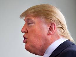 Criticism of Trump's Propaganda and Behavior