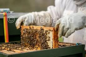 39397583-Weekend Cover story