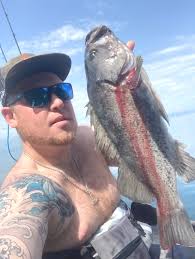 Fish Taco Chronicles