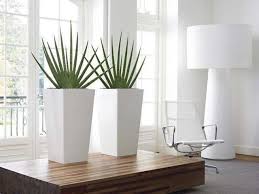 Quale portavasi da esterno acquistare? Pin Su Green Interior
