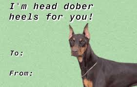 And for the finale, expand. 15 Tumblr Valentine S Day Cards That Won The Internet