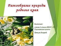 проект по окружающему миру 3 класс разнообразие природы родного края Proekt Po Okruzhayushemu Miru 3 Klass