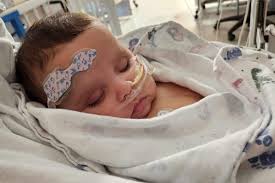 Fundraiser by Calvin Morgas : Ellie's Heart Fund