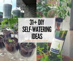 How to make a plastic bottle garden? 31 Clever Diy Self Watering Container Garden Ideas When You Re Away