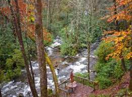 Lee reseñas y reserva cabañas en montañas de carolina del norte para 2021. Los 10 Mejores Chalets De Montana En Carolina Del Norte Estados Unidos Booking Com