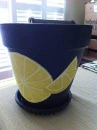 When the tree is potted, there should be at least an inch of room between the soil and the top of the planter or pot. Lemon Themed Hand Painted Flower Pot I Think I Shall Give This To My Niece Eva Painted Flower Pots Hand Painted Flower Pots Painted Clay Pots