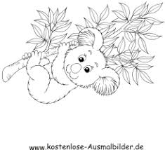 Ausmalbild Koala Zum Ausdrucken
