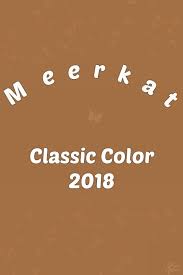 Meerkat Pantone 16 1438 Tcx Pantone Color Trends Fashion Pantone Color