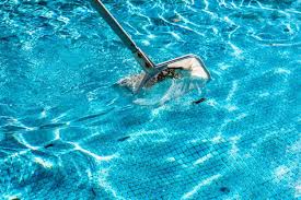 Pool Net Leaf Skimmer Rake En Verano Descargar Fotos Fotos Pool