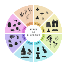 Types of Allergens/Triggers | Allergist In Midlothian, VA | Advanced Allergy  and Asthma of Virginia