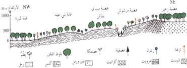 ـ العوامل التربوية