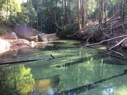 Tempat yang penuh dengan hasil tangkapan laut yang segar seperti ikan, sotong, udang, ketam yang setiap. Sama Macam Emerald Pool Di Krabi Jom Mandi Manda Di Sungai Jernih Di Terengganu Pelancongan Explorasa Forum Cari Infonet