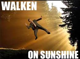 Walken On Sunshine Funny Puns Walken Funny Pictures