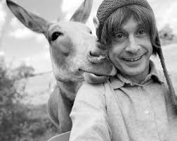 FP230823.pdf by Flagpole Magazine