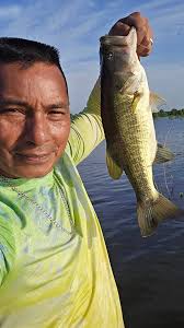 Good morning, keepers of the low end