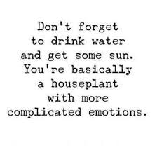  Pin On Quotes