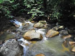 Jika anda melawat kampung bukit tinggi, bentong sama ada untuk urusan perniagaan atau santai, budgetplaces boleh menemukan hotel, asrama dengan menempah dengan kami di kampung bukit tinggi, bentong, anda akan jimatkan perbelanjaan penginapan, jadi anda boleh berbelanja lebih. Lentang Forest Recreational Park Recreational Forest Bentong Travelmalaysia