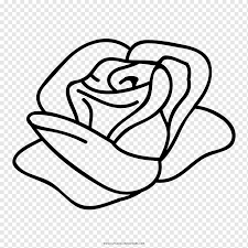 Download Paper Rose Template Coloring Book Flower Rose Template White Child Png Pngwing