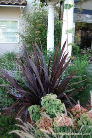 View Picture Of Phormium New Zealand Flax 39 Black Adder 39 Phormium At Dave 39 S Garden All Pictures Are Contribu Garden Design Small Gardens Plants