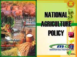 Ethnic tensions in malaysia (malaysian, chinese, indian). How Do Malaysian Government And Policies Impact Agriculture Education Aged2malaysia
