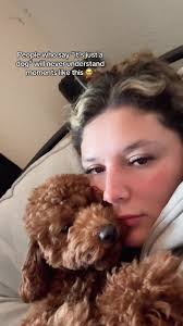 Understanding the Bond with Your Soul Dog