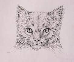 See more ideas about coreldraw, corel draw tutorial, coral draw. How To Draw Animals Quickly Render Fur