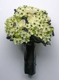 Check spelling or type a new query. 72 Ornithogalum Ideas In 2021 Bouquet Wedding Bouquets Wedding