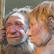 L'uomo di neanderthal ha sofferto per lungo tempo di una cattiva reputazione e continua a evocare una serie di luoghi comuni. Scoperta L Abilita Manuale Dell Uomo Di Neanderthal Laregione