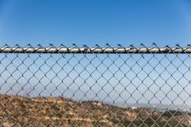 Installing a chain link fence costs an average of $2,077. 2021 Cost To Install A Chain Link Fence Chain Link Fence Prices