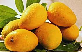 Cut the fruit flesh from the mangoes if you are using regular commercial mango varieties. Mango Fruit Bitem
