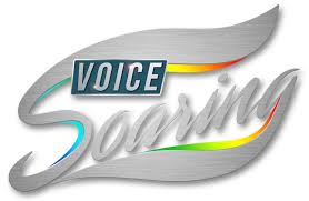 For all ages and singing styles. Online Studio Voice Soaring Studio Voice Lessons For Pop Rock Broadway Singers